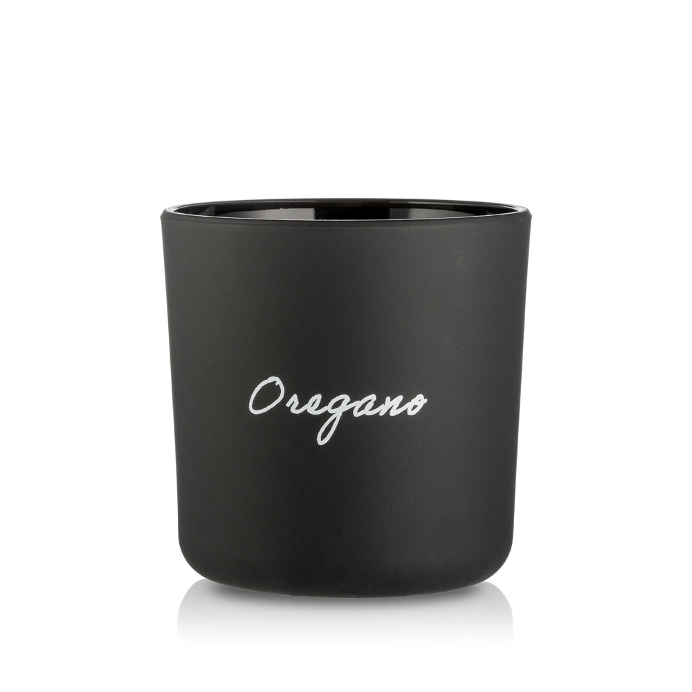 Doniczka szklana osłonka czarna na zioła Oregano 13 cm