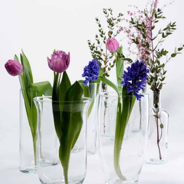 Cięte kwiaty cebulkowe w różnych wazonach