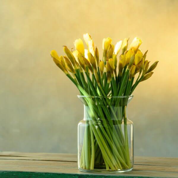 Żółte kwiaty cięte w wazonie w kształcie słoika szklanego