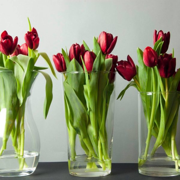 Wazon ozdobiony czerwonymi tulipanami