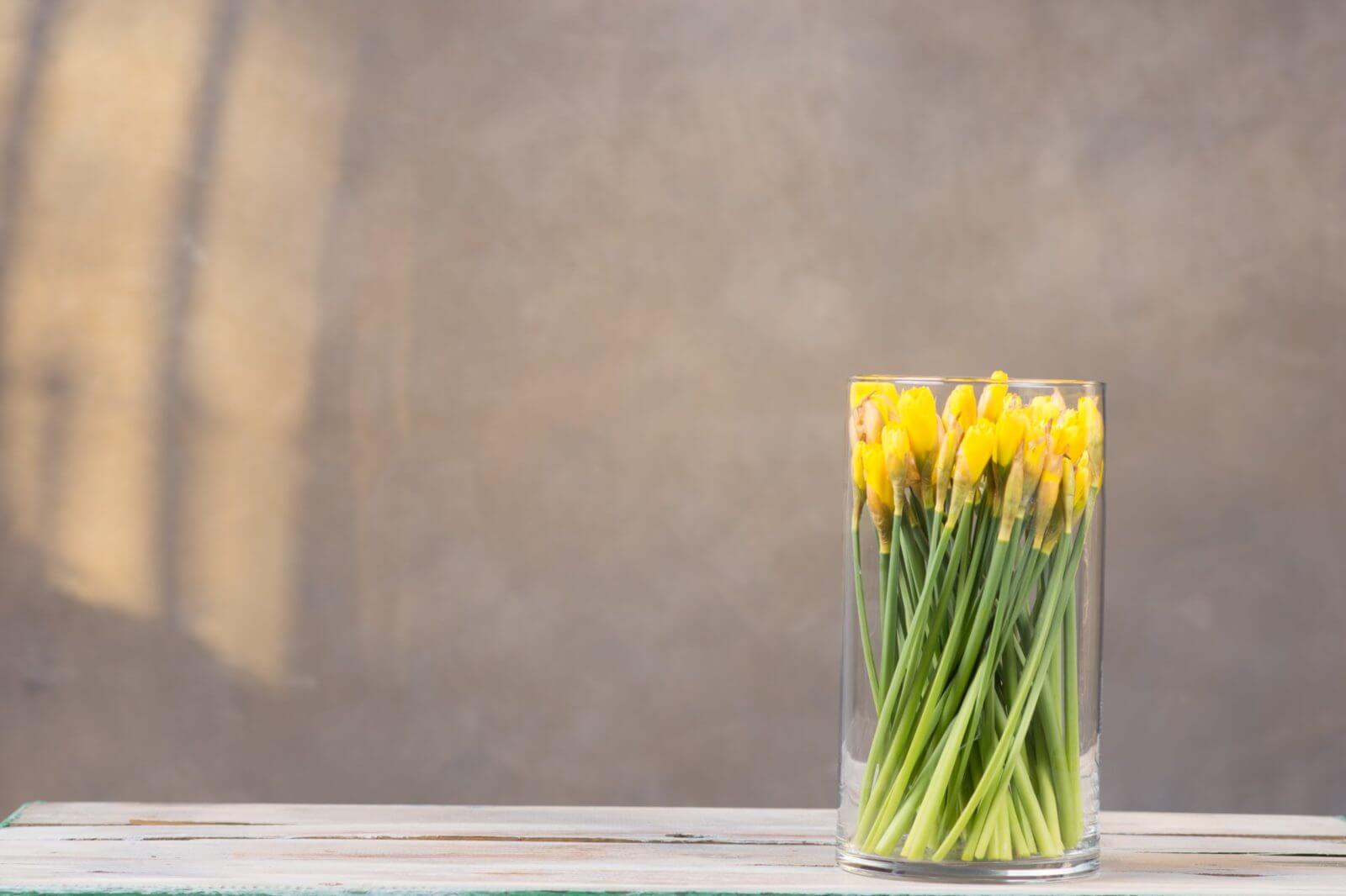 Wazon cylinder z żółtymi tulipanami