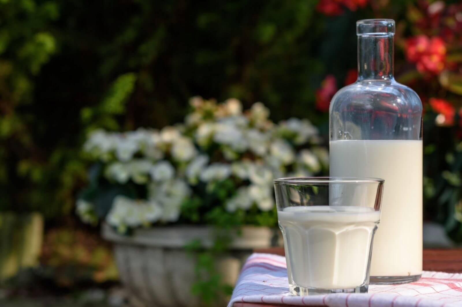 Klasyczna szklanka z mlekiem