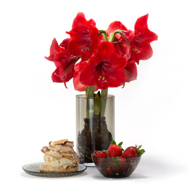 Przyciemniany wazon szklany z czerwonymi kwiatami w formie dekoracji