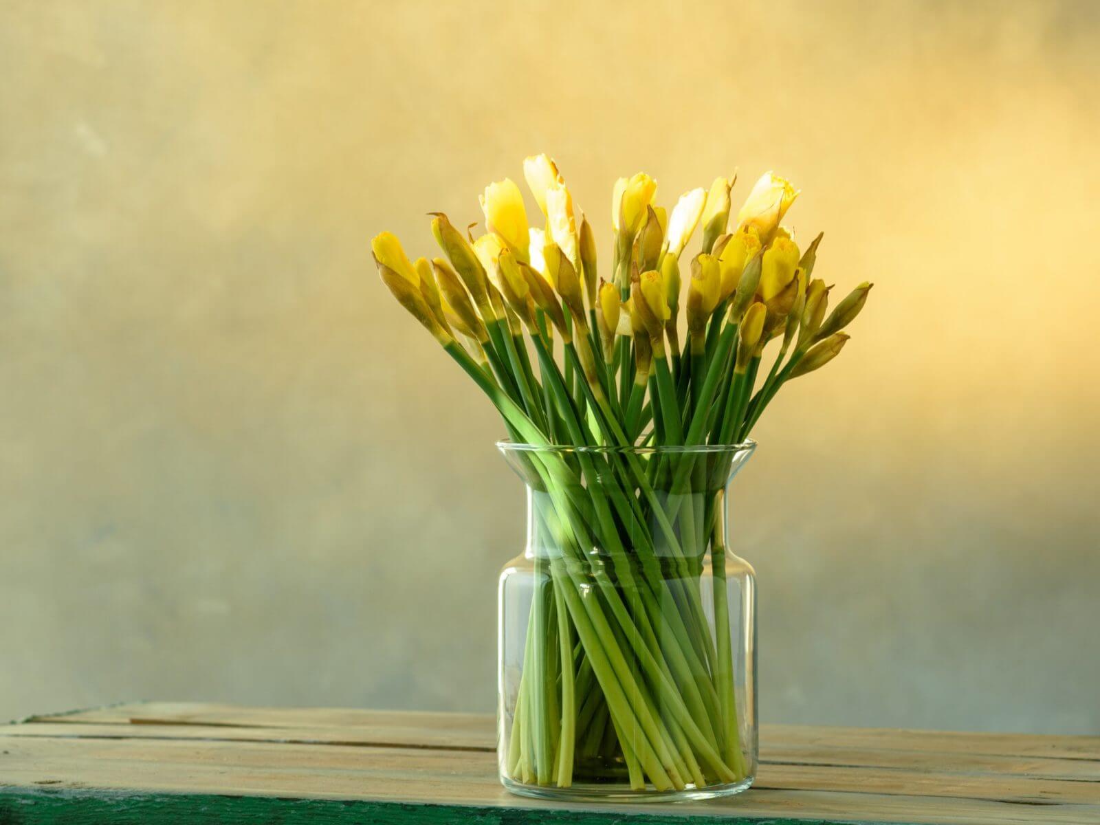 Zółte tulipany w wazonie w kształcie słoja