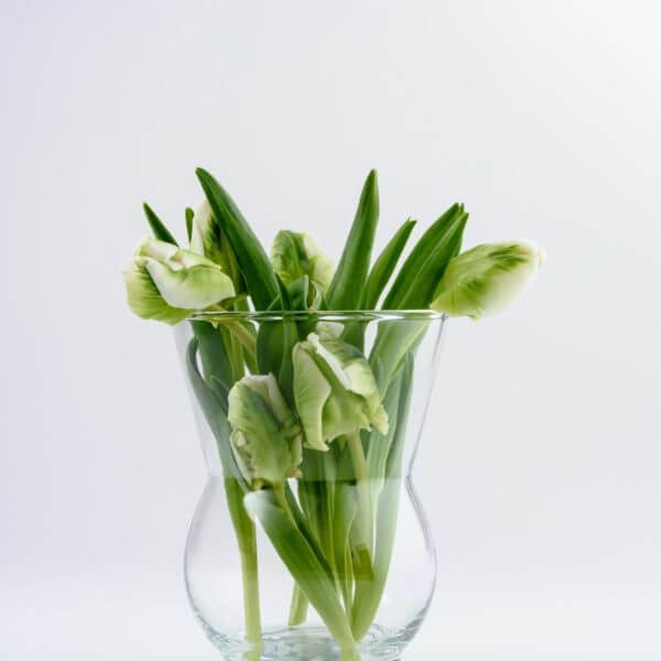 Opływowy wazon szklany z zielonymi łodyżkami