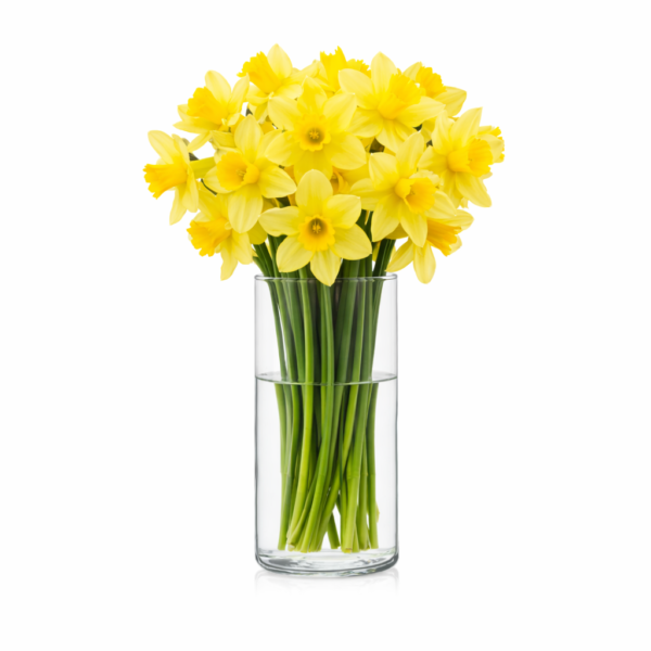 Wazon szklany cylinder wys. 20cm