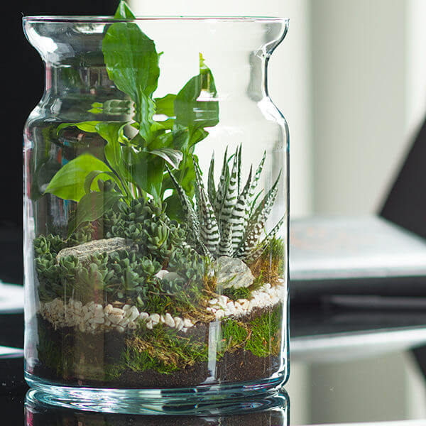 Szklany słój na dekoracje z żywych roślin