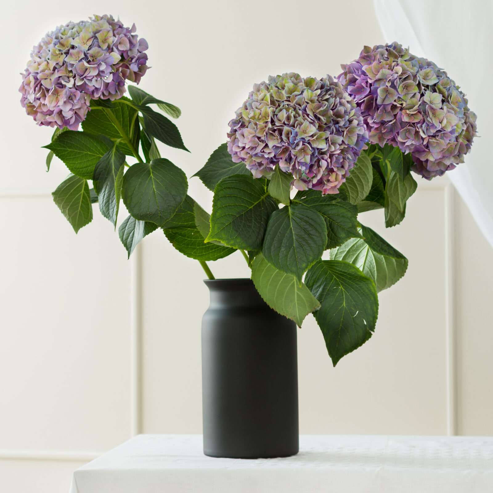 Wysoki czarny wazon słój z kwiatami