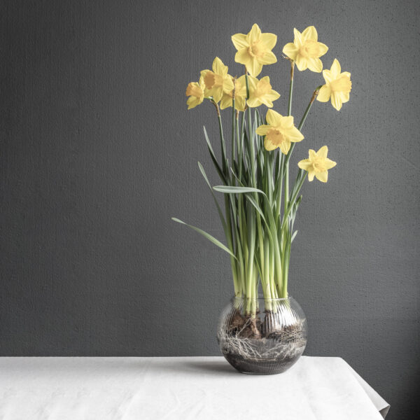 Wazon szklany ryflowany kula D8