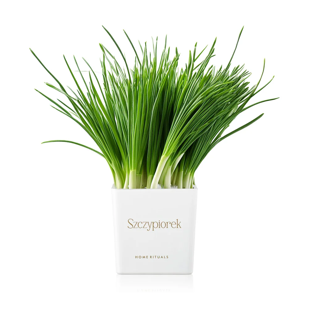 Doniczka osłonka biała ze złotym napisem Szczypiorek 12cm