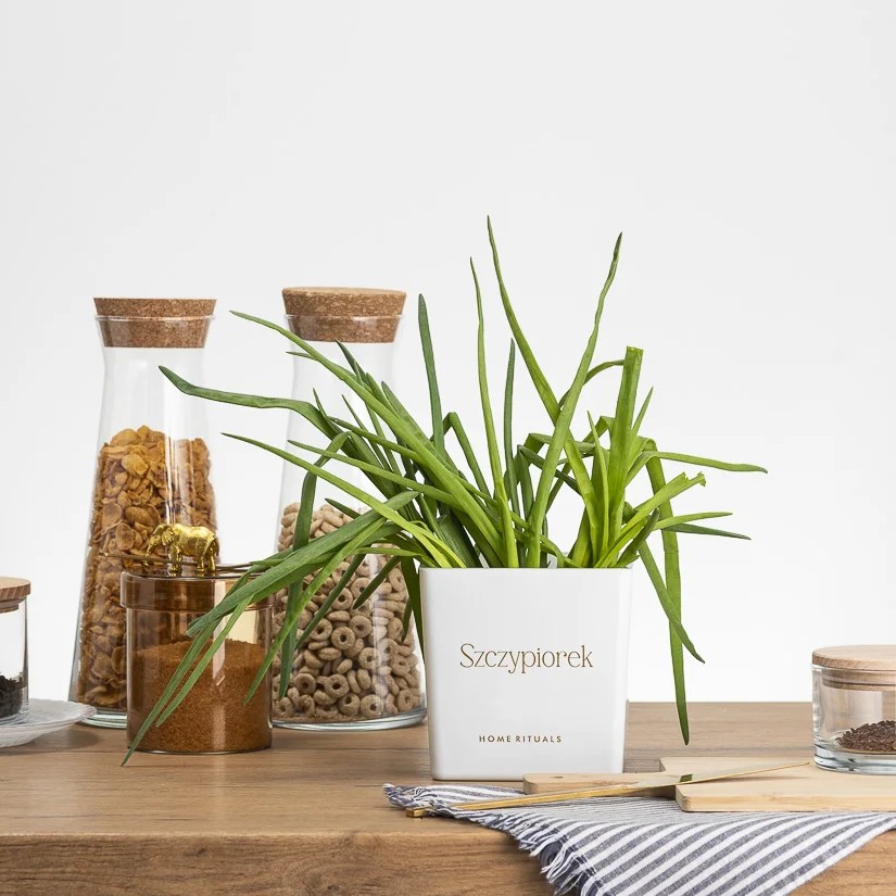 Doniczka osłonka biała ze złotym napisem Szczypiorek 12cm