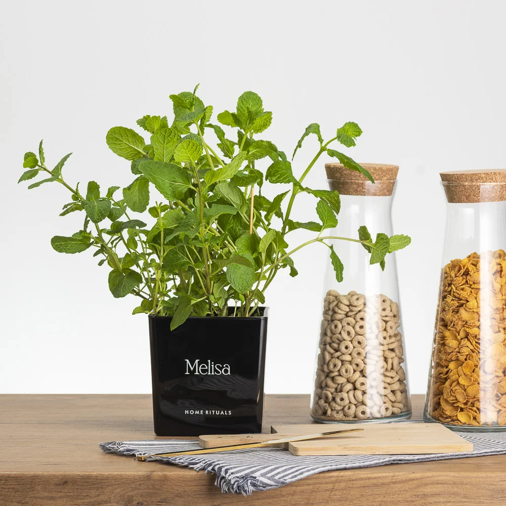 Doniczka osłonka czarna z białym napisem Melisa 12cm